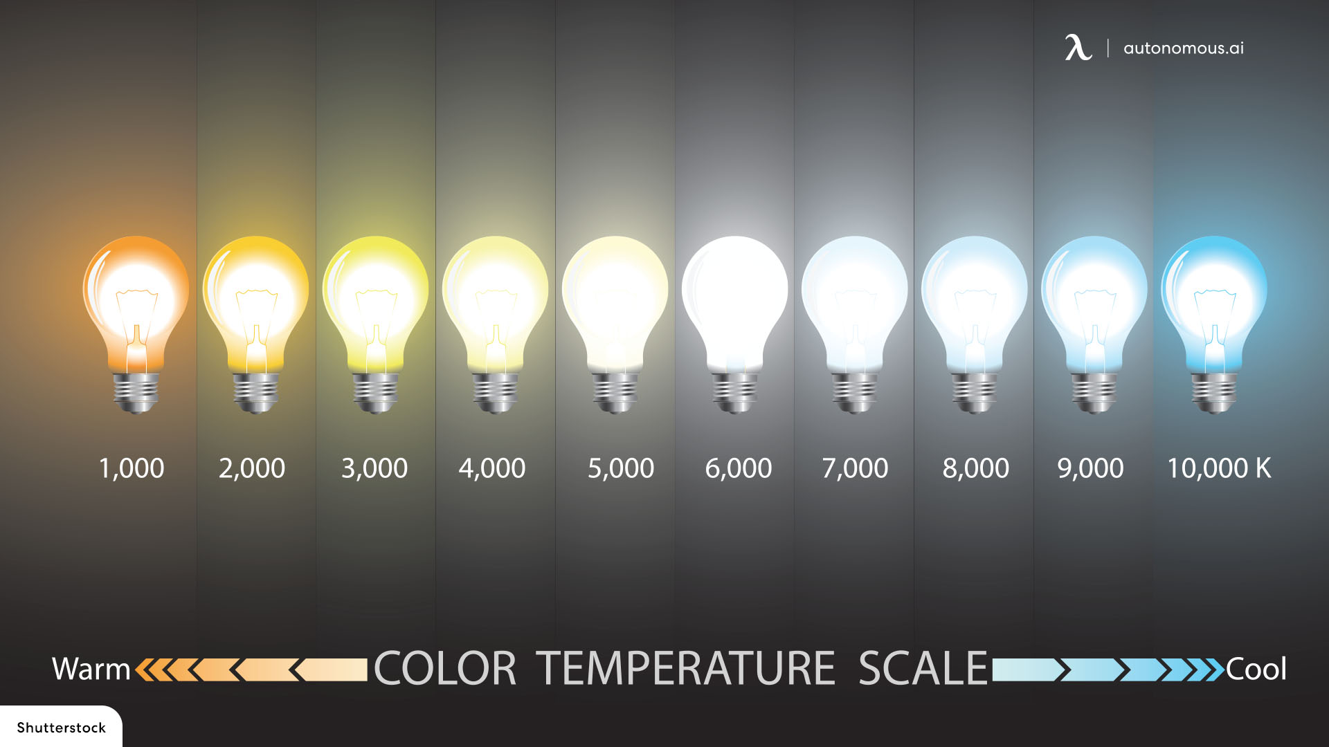 What is the Difference Between Daylight and Soft White Bulbs?